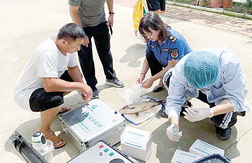 山東萊西市水產服務中心 筑牢漁業環境與水產品質量安全雙防線
